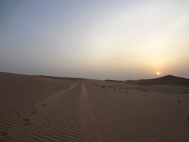Sunset - Safari at Abu Dhabi Desert