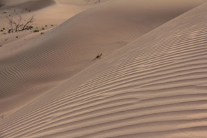 Deserto / Desert of Abu Dhabi