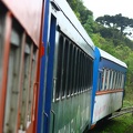 O trem / The train