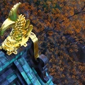 Vista do alto do Castelo de Osaka