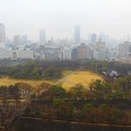 Jardim do Castelo de Osaka