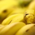 Bananas, bananas, bananas