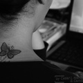 The butterfly....