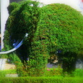 O elefante verde