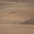 Deserto / Desert of Abu Dhabi