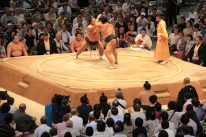 Sumo tournament