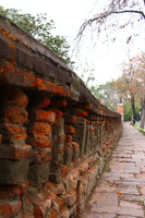 Brick wall / Muro de tijolos
