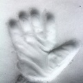 Neve versus a minha mão!