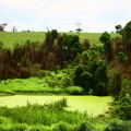 A Lagoa verde