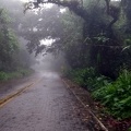 Estrada real até Paraty / RJ - Brasil